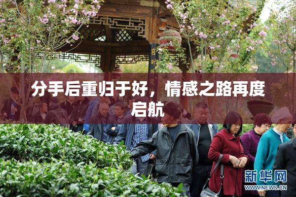 分手后重归于好，情感之路再度启航