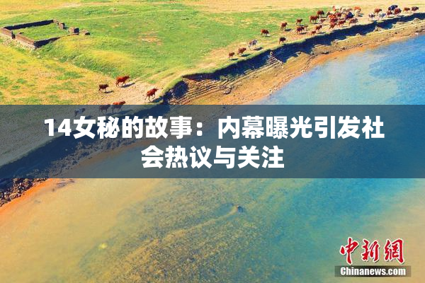 14女秘的故事：内幕曝光引发社会热议与关注