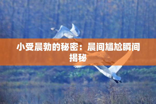 小受晨勃的秘密：晨间尴尬瞬间揭秘