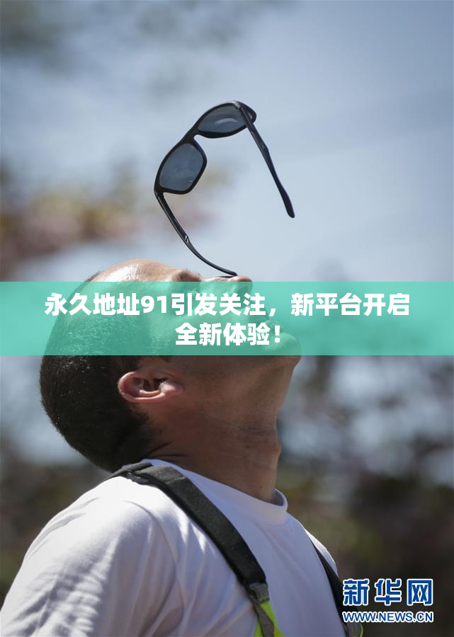 永久地址91引发关注，新平台开启全新体验！