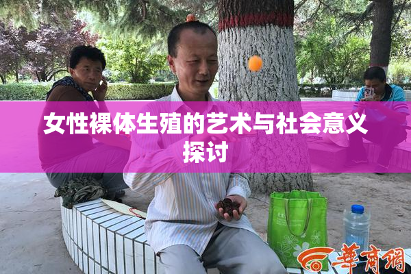 女性裸体生殖的艺术与社会意义探讨
