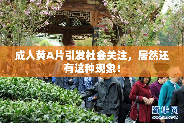 成人黄A片引发社会关注，居然还有这种现象！