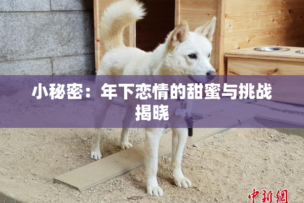 小秘密：年下恋情的甜蜜与挑战揭晓