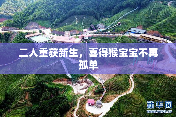 二人重获新生，喜得猴宝宝不再孤单