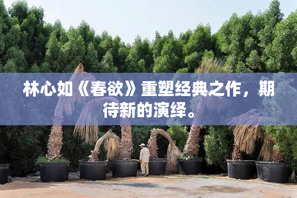 林心如《春欲》重塑经典之作，期待新的演绎。