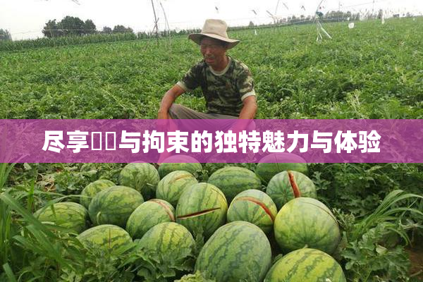 尽享緊縛与拘束的独特魅力与体验