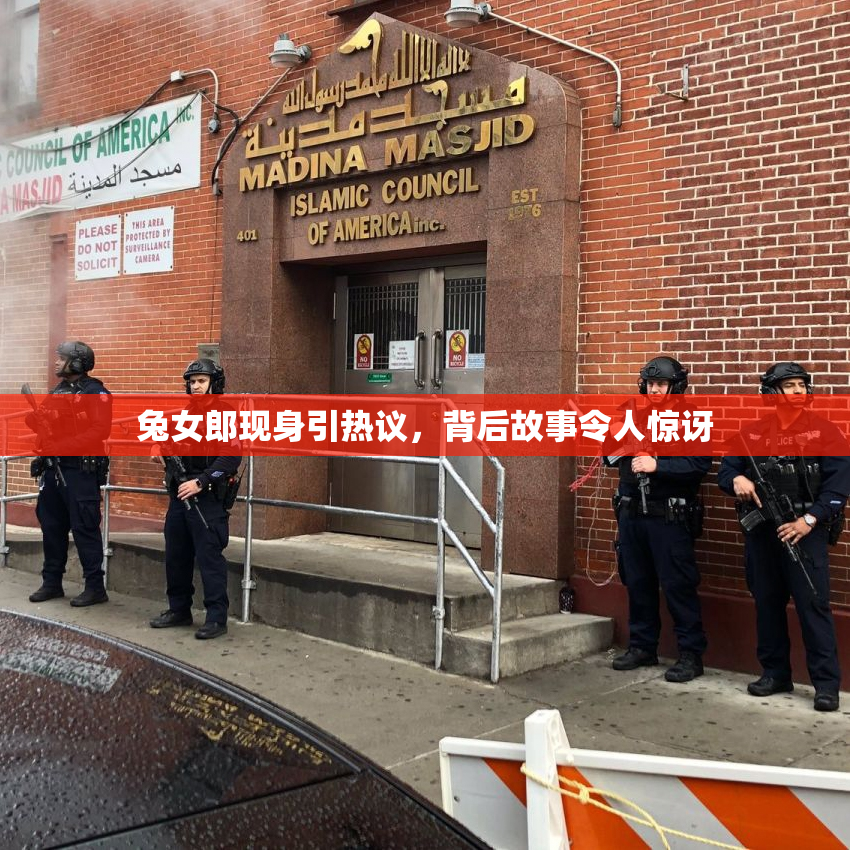 兔女郎现身引热议，背后故事令人惊讶