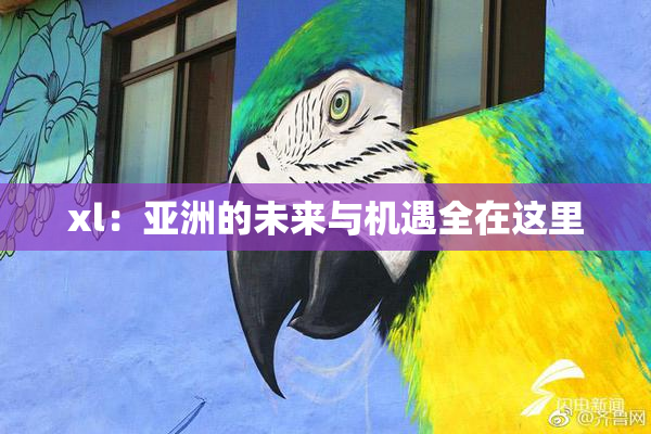 xl：亚洲的未来与机遇全在这里