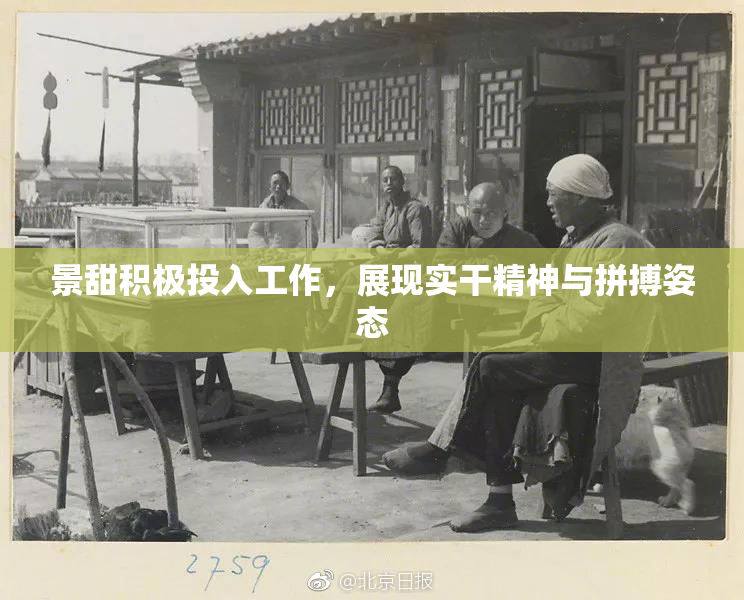景甜积极投入工作，展现实干精神与拼搏姿态