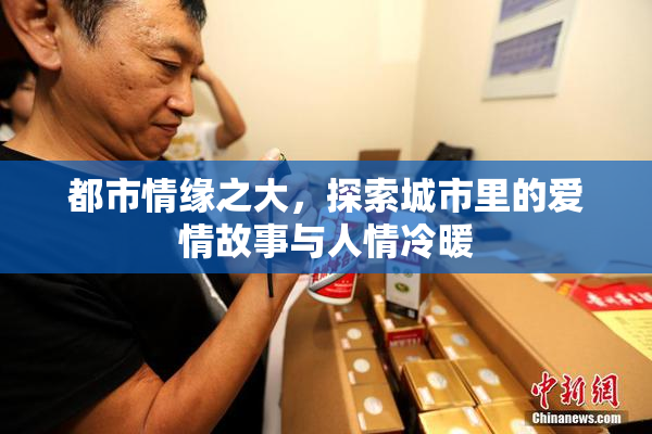 都市情缘之大，探索城市里的爱情故事与人情冷暖
