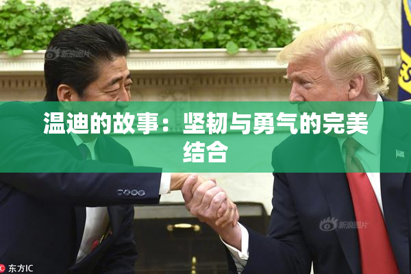 温迪的故事：坚韧与勇气的完美结合