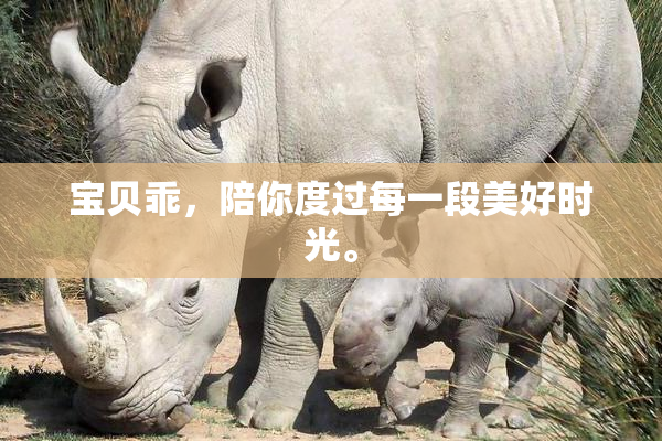 宝贝乖，陪你度过每一段美好时光。
