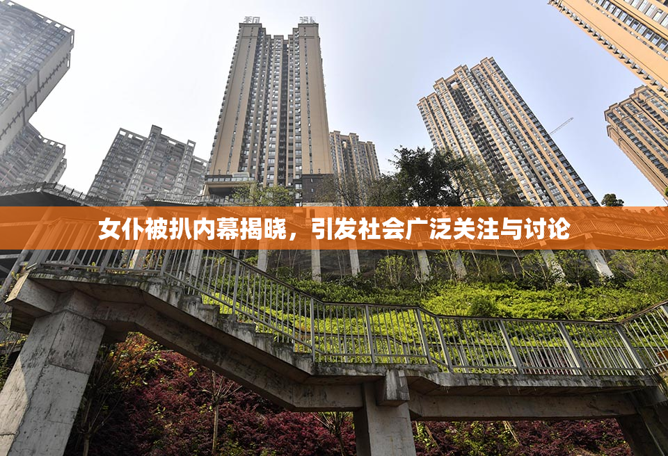 女仆被扒内幕揭晓，引发社会广泛关注与讨论