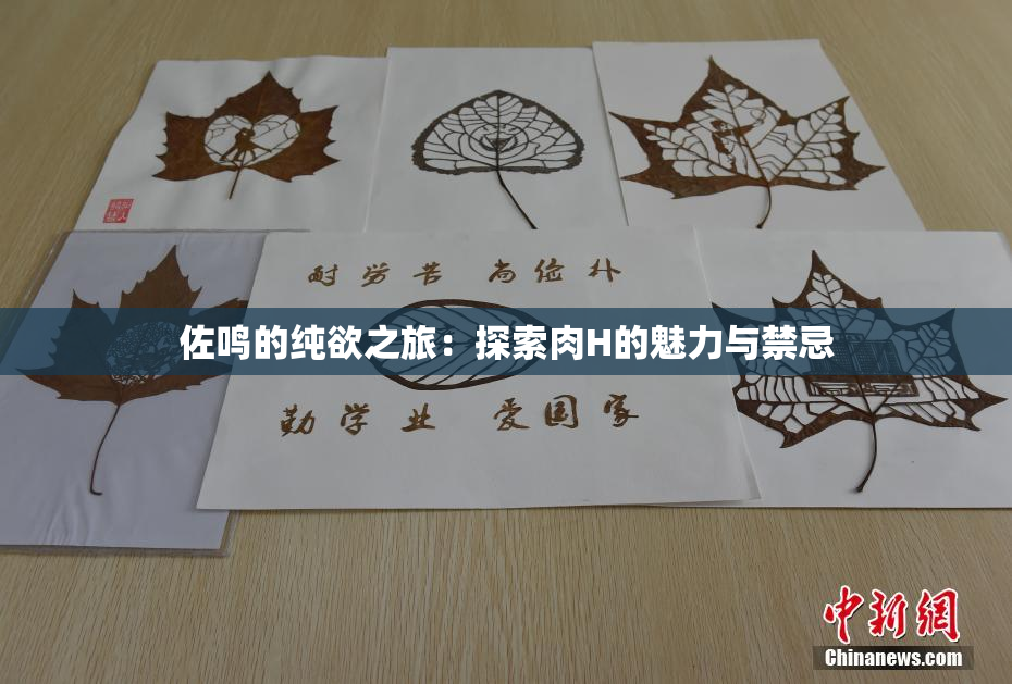 佐鸣的纯欲之旅：探索肉H的魅力与禁忌