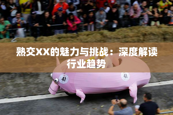 熟交XX的魅力与挑战：深度解读行业趋势