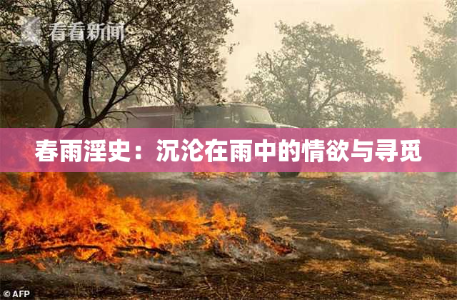 春雨淫史：沉沦在雨中的情欲与寻觅