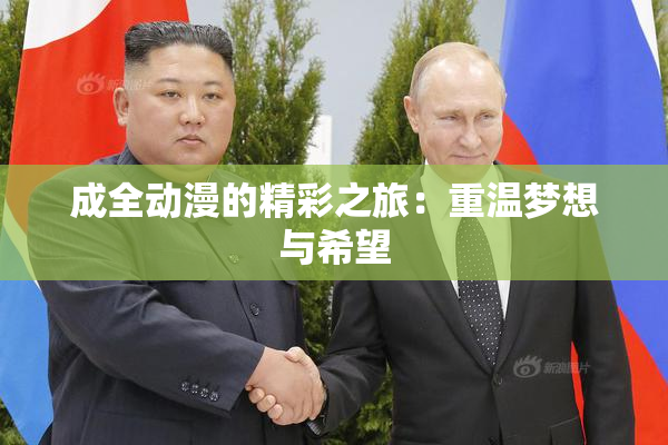 成全动漫的精彩之旅：重温梦想与希望