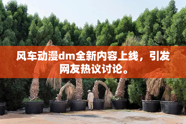 风车动漫dm全新内容上线，引发网友热议讨论。