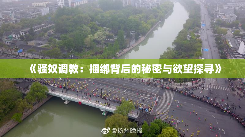 《骚奴调教：捆绑背后的秘密与欲望探寻》