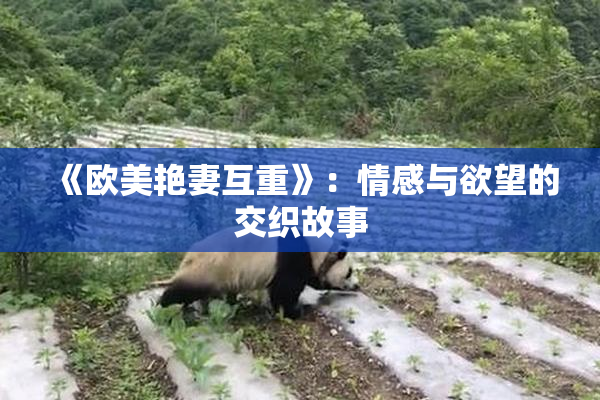 《欧美艳妻互重》：情感与欲望的交织故事