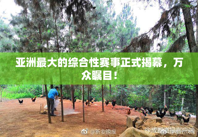 亚洲最大的综合性赛事正式揭幕，万众瞩目！