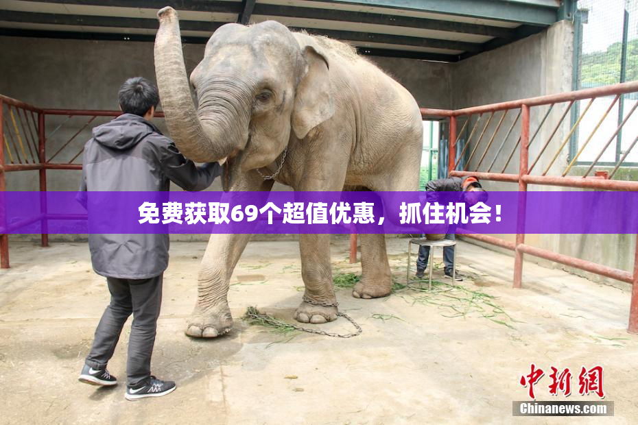 免费获取69个超值优惠，抓住机会！