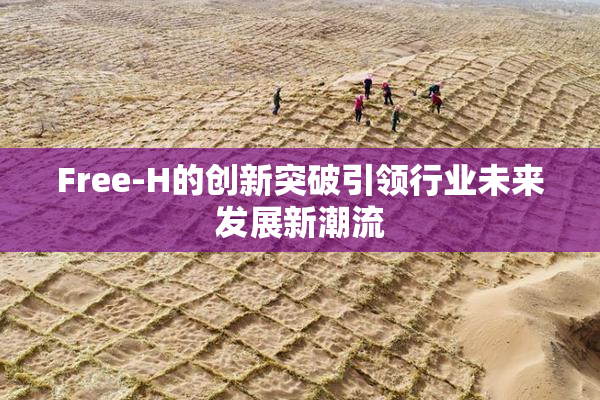 Free-H的创新突破引领行业未来发展新潮流