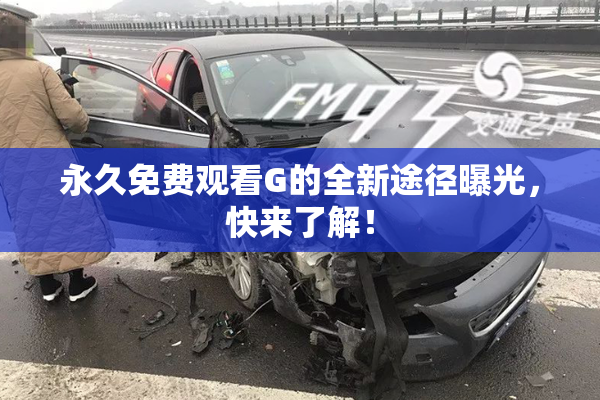 永久免费观看G的全新途径曝光，快来了解！
