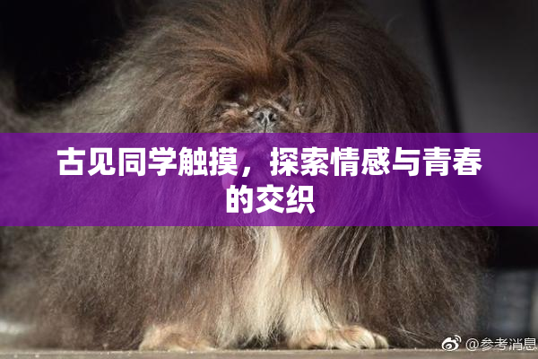 古见同学触摸，探索情感与青春的交织