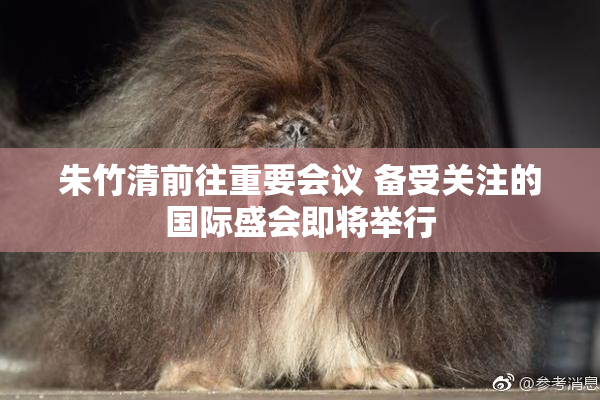 朱竹清前往重要会议 备受关注的国际盛会即将举行