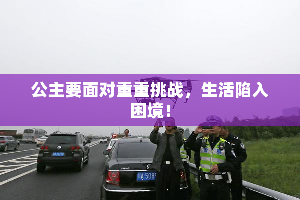 公主要面对重重挑战，生活陷入困境！