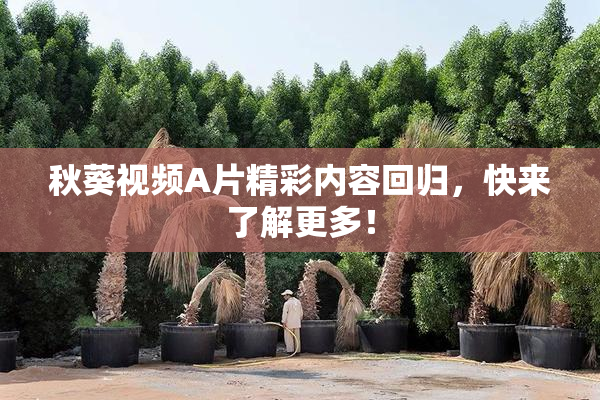秋葵视频A片精彩内容回归，快来了解更多！