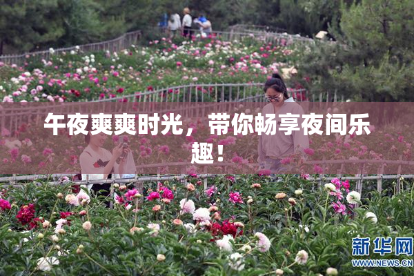 午夜爽爽时光，带你畅享夜间乐趣！