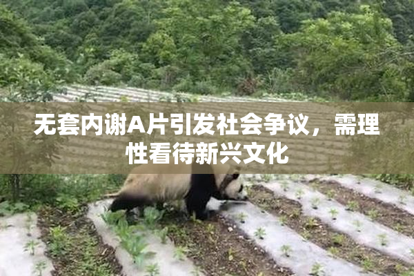 无套内谢A片引发社会争议，需理性看待新兴文化