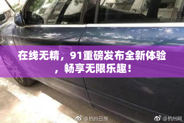 在线无精，91重磅发布全新体验，畅享无限乐趣！