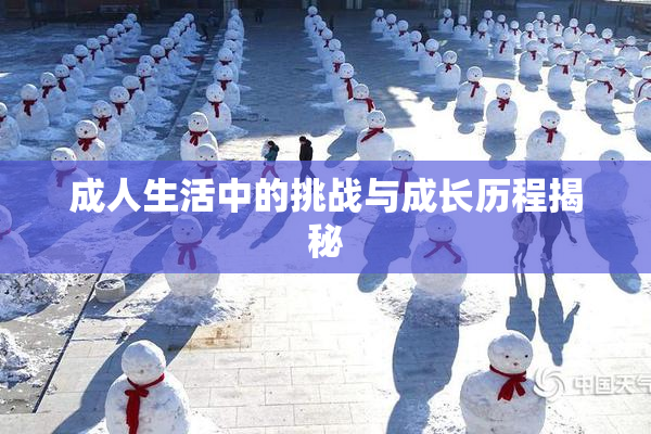 成人生活中的挑战与成长历程揭秘