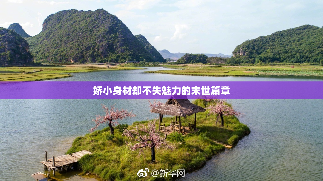 娇小身材却不失魅力的末世篇章