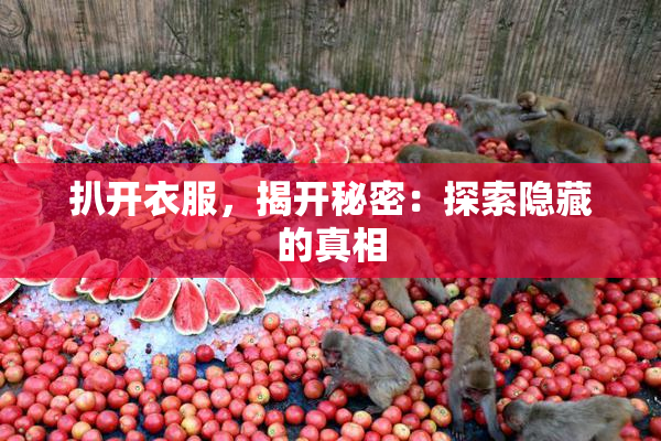 扒开衣服，揭开秘密：探索隐藏的真相