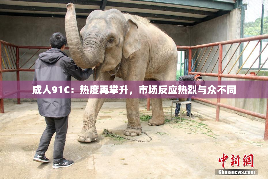 成人91C：热度再攀升，市场反应热烈与众不同