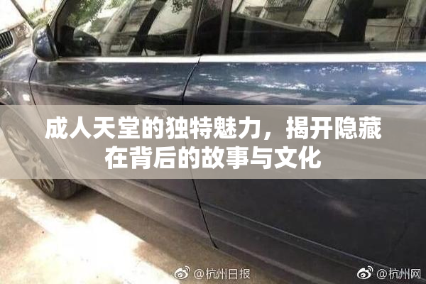 成人天堂的独特魅力，揭开隐藏在背后的故事与文化