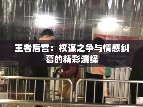王者后宫：权谋之争与情感纠葛的精彩演绎