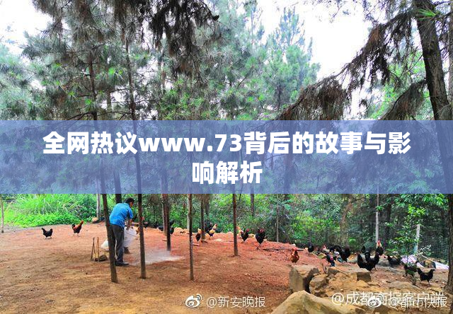 全网热议www.73背后的故事与影响解析