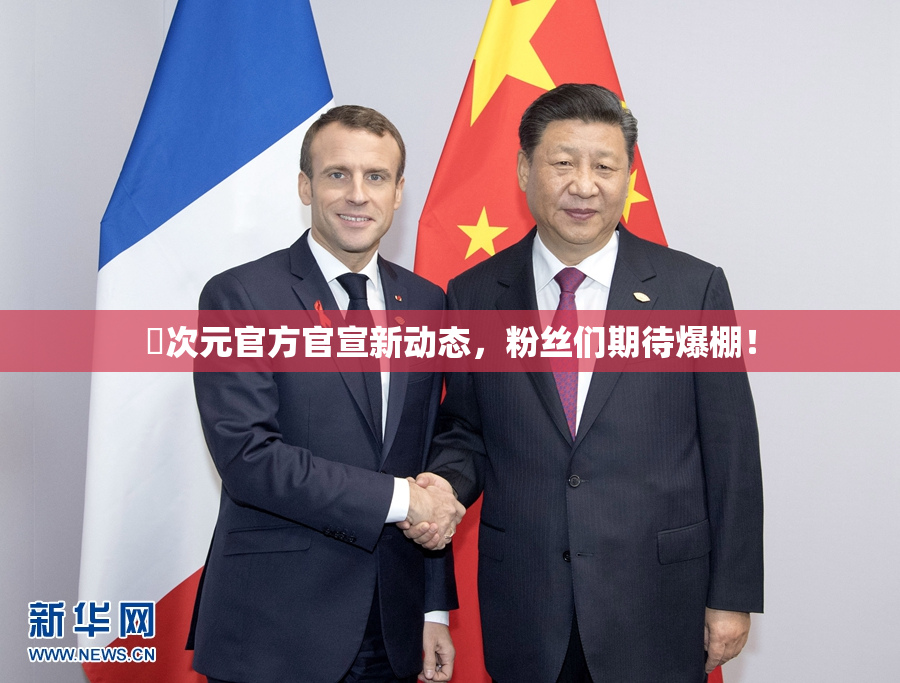 囧次元官方官宣新动态，粉丝们期待爆棚！
