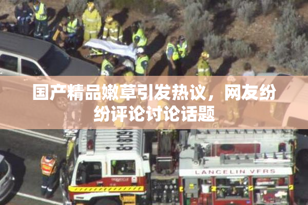 国产精品嫩草引发热议，网友纷纷评论讨论话题
