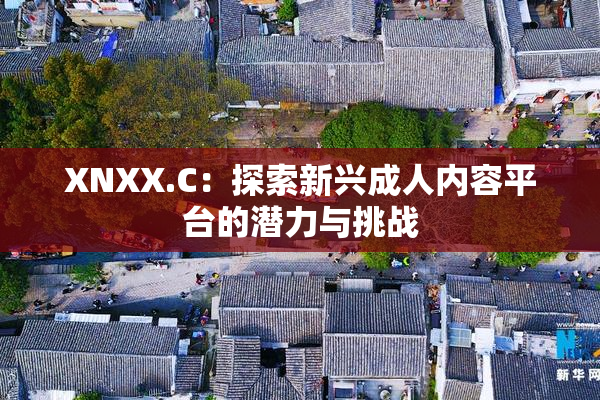 XNXX.C：探索新兴成人内容平台的潜力与挑战