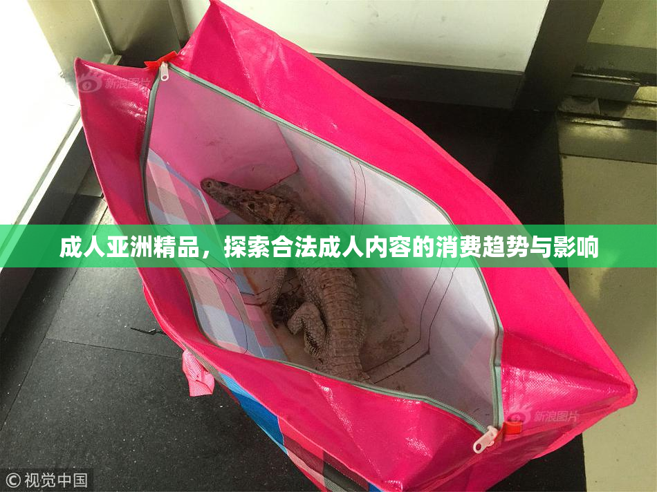成人亚洲精品，探索合法成人内容的消费趋势与影响