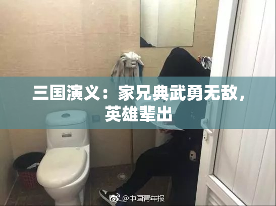 三国演义：家兄典武勇无敌，英雄辈出
