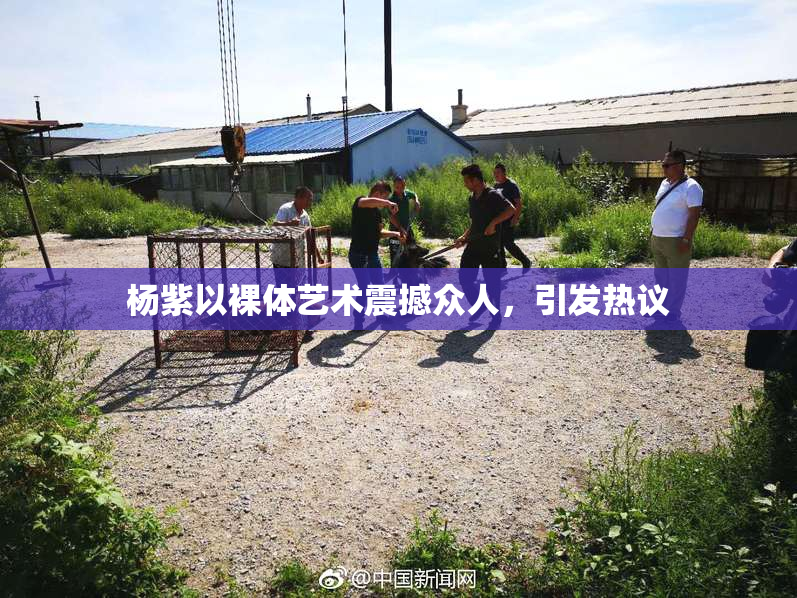 杨紫以裸体艺术震撼众人，引发热议