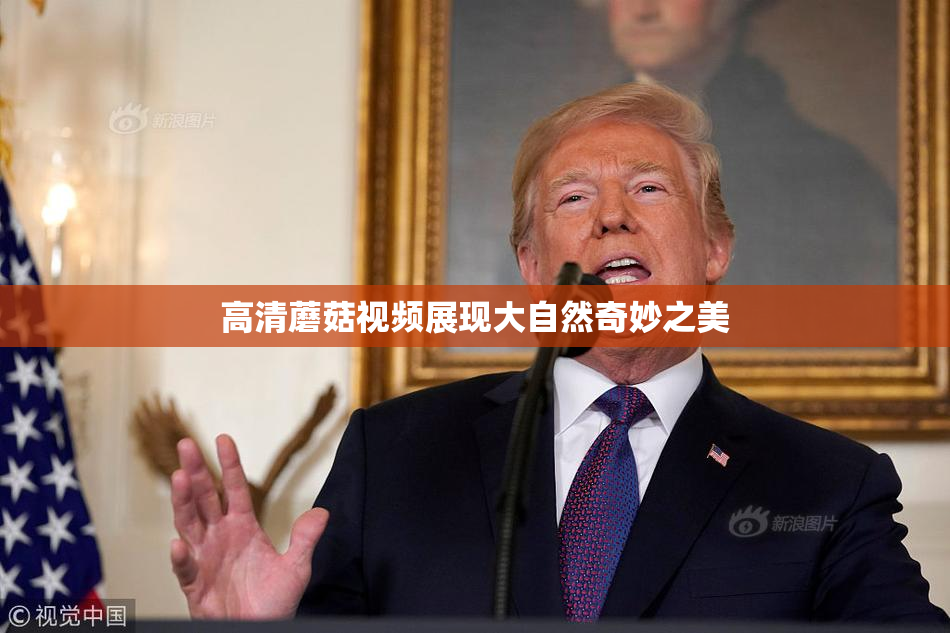 高清蘑菇视频展现大自然奇妙之美