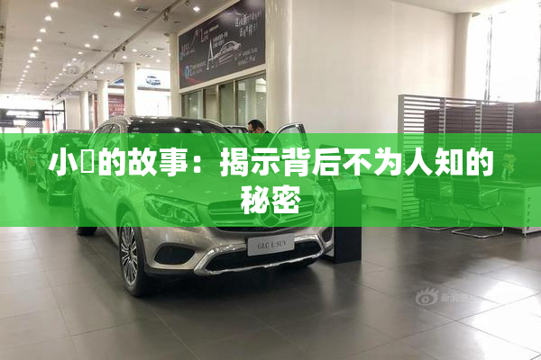 小泬的故事：揭示背后不为人知的秘密